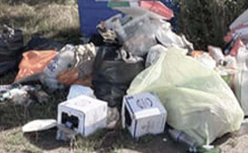 垃圾回家说课稿