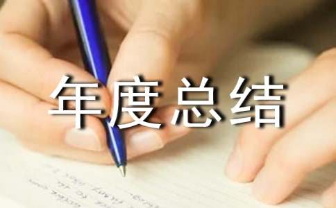 年度总结与计划表格