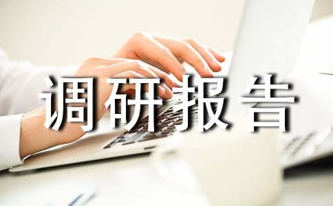 (精华)农村人居环境整治调研报告