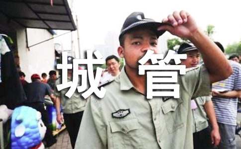 城管执法半年度工作总结