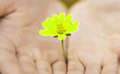 关于物业的道歉信