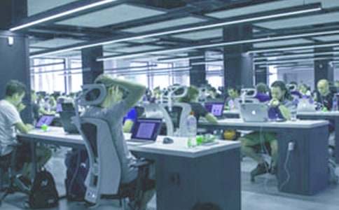 动物学实习报告