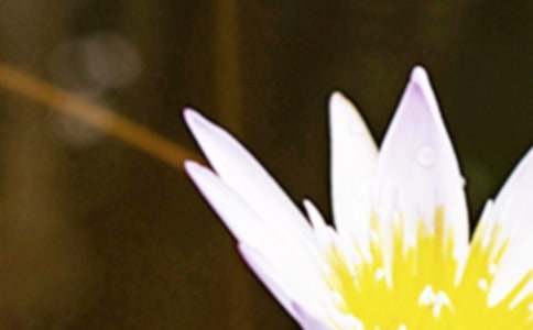 夏至的谚语230句