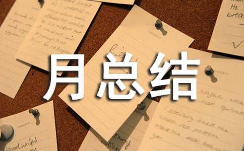 月总结报告表格