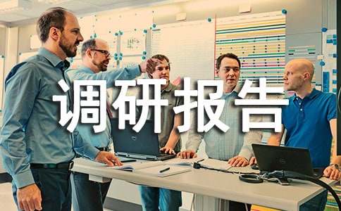 留守老人调研报告