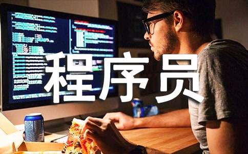 程序员年度工作汇报