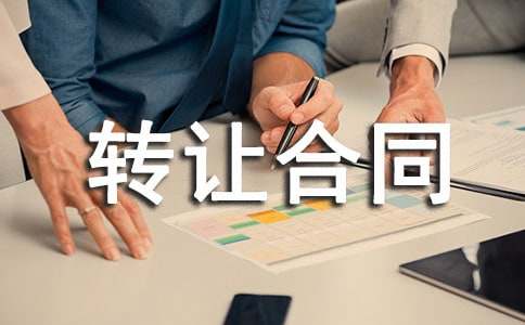 关于使用权转让合同范文8篇