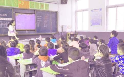 教学工作计划小学