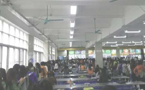 食堂调查报告(通用20篇)