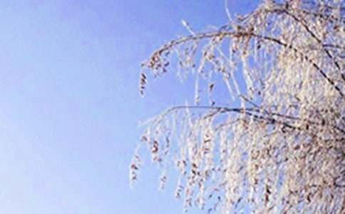 诗歌冬天的阳光