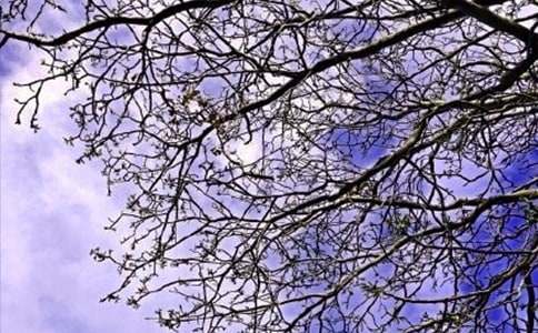 关于朋友圈早安说说