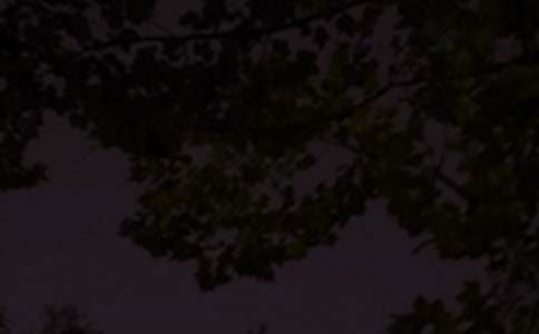 经典暖心晚安说说大全(精选110句)