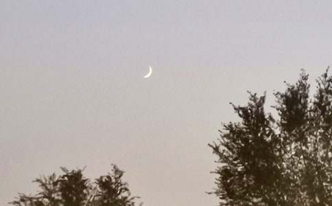 意象月亮的现代诗歌