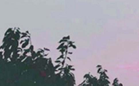 2025年常用动人的早安心语朋友圈40句