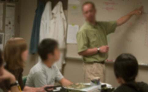 赞美老师抒情诗歌