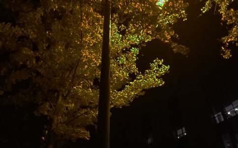 简短的正能量的晚安语录