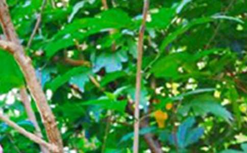 微信朋友圈早安心语正能量