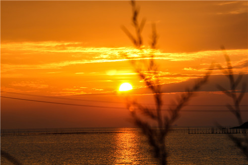 1594885543401969.jpg 三伏天艾灸的最佳时间是什么时候