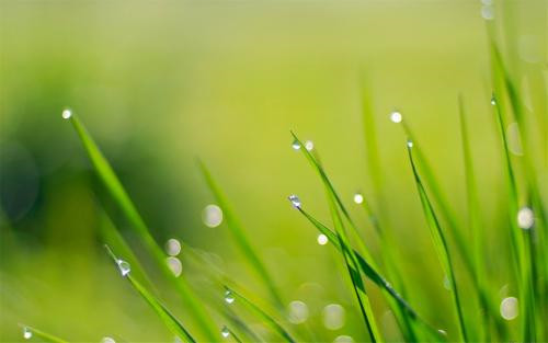 1595380453732847.jpg 二十四节气大暑应该吃什么