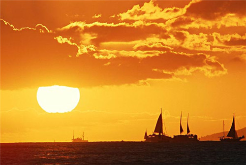 1594886112112156.jpg 三伏天吃阿胶有哪些好处?