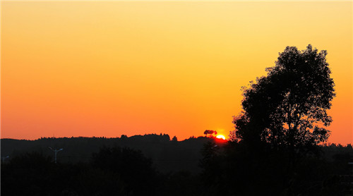 1596688153847664.jpg 立秋喝什么汤可以养生