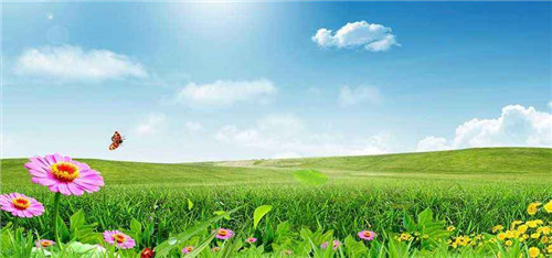 1595381301516646.jpg 立秋养生可以吃什么