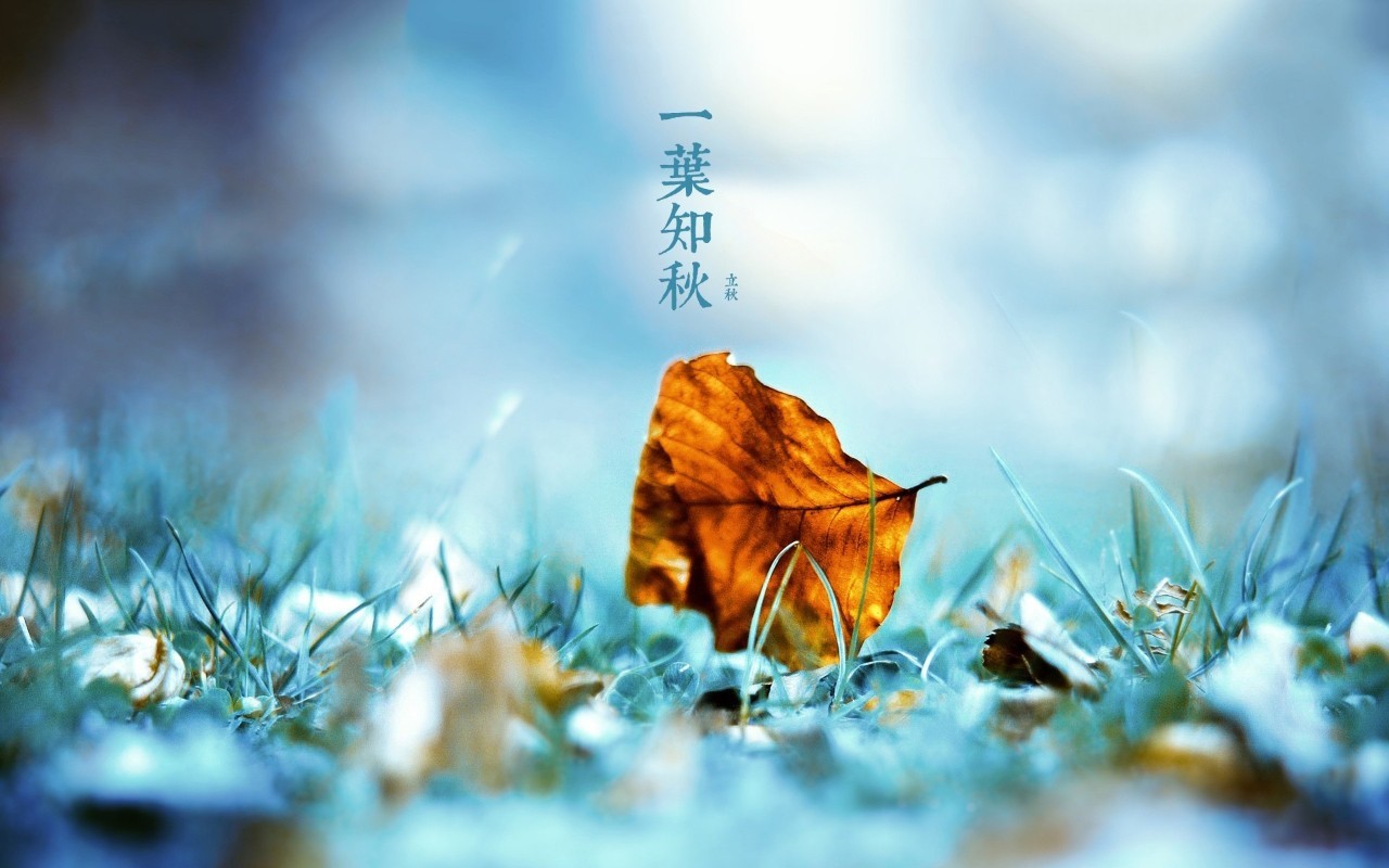 1595299666676448.png 立秋吃什么食物