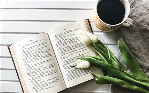 1598259758150904.jpg 关于白露可以种菜吗_白露种什么蔬菜