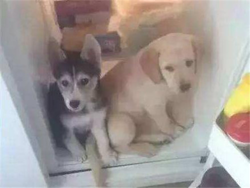 1589357640367770.jpg 初中班里最“难得一见”的3种文具