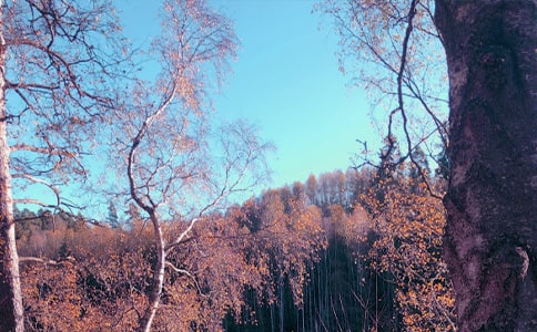 秋日游记作文7篇