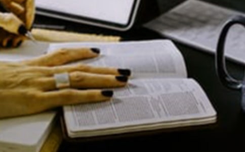 关于你在为谁工作读后感