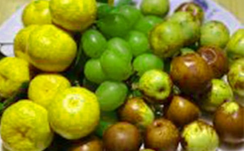 关于水果的说明文精选