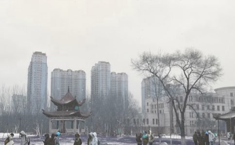 暴风雪观察雪的日记