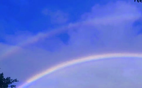 美丽的彩虹小学写景作文