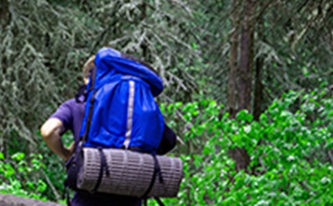 【实用】爬山日记4篇