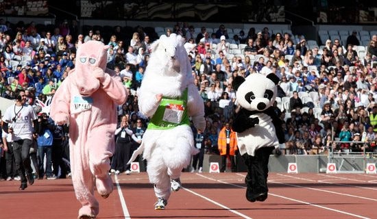 运动会日记集合八篇