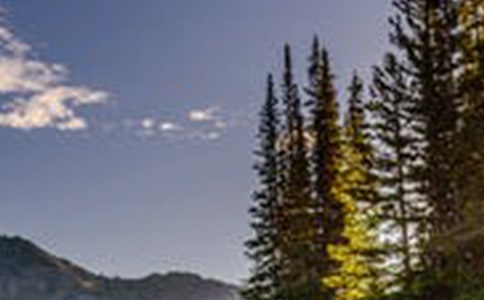 【荐】风景这边独好作文