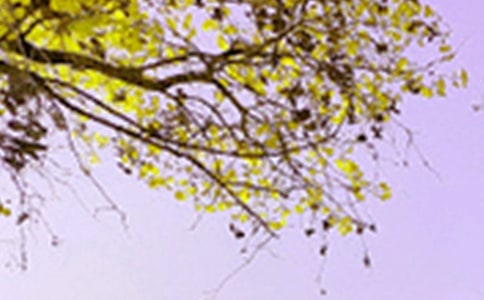 描写景色的作文150字