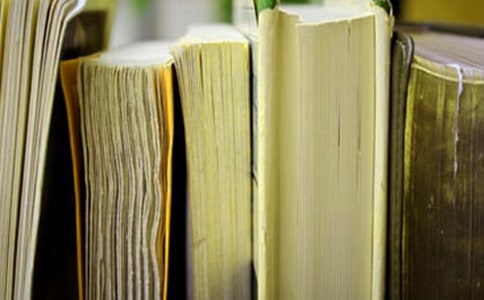 关于中小学生人格教育观后感作文范文