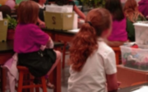 汕尾一日游小学生叙事日记300字