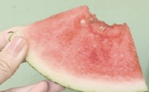 一个夏日的早晨作文550字