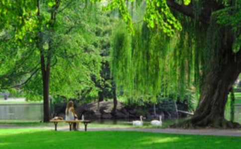 游记作文：游昭阳公园