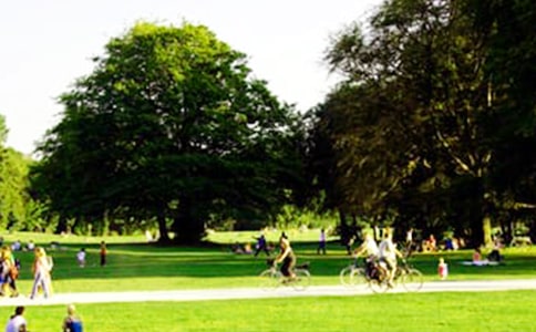 游南山公园日记(精选34篇)