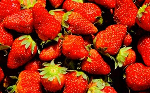 水果说明文的作文8篇