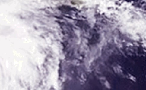 台风“鹦鹉”观后感作文