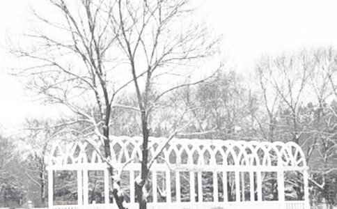 描写冬季雪景的高一日记