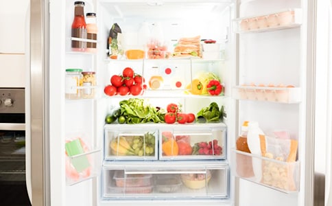 冰箱说明文作文四篇