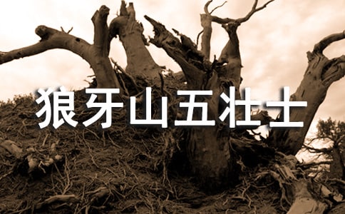关于狼牙山五壮士的`读后感范文