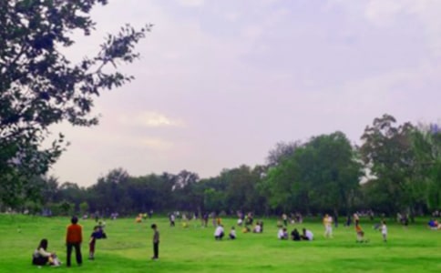 美丽的湿地公园写景作文