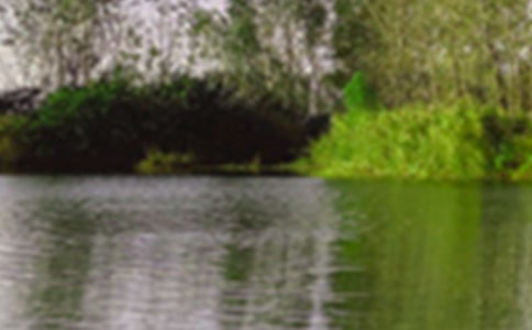 写景色作文八篇